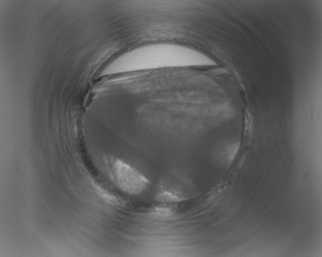 X0000076430114200611031849