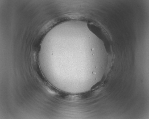 X0000076430117200611031849