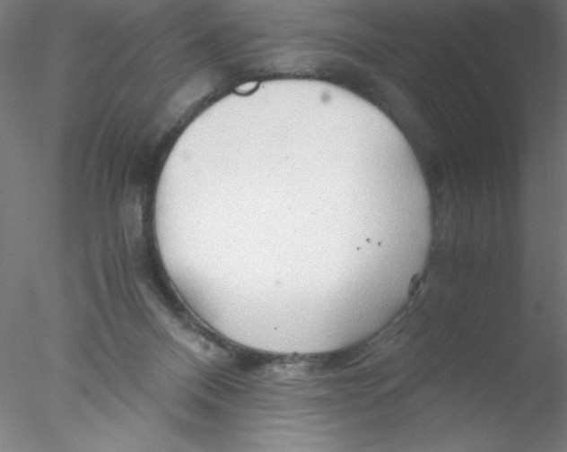 X0000076430120200611031849