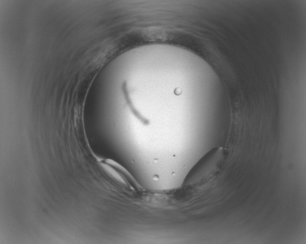 X0000076430125200611031849