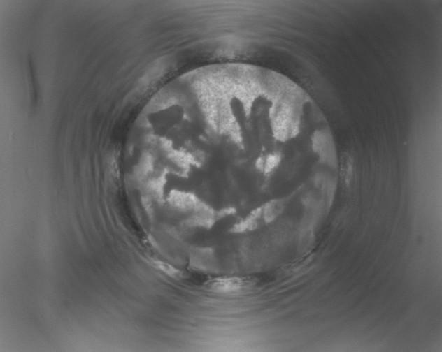 X0000076430127200611031849