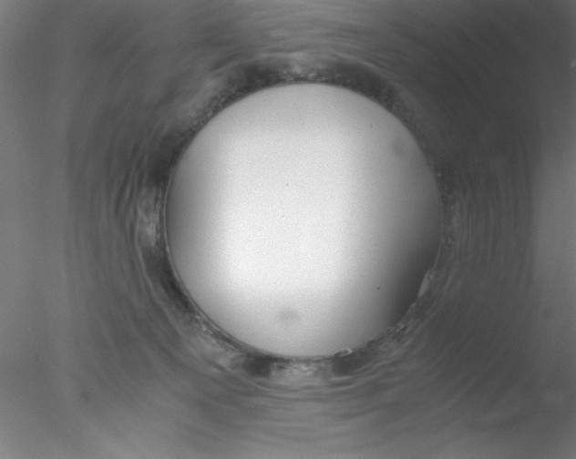 X0000076430129200611031849