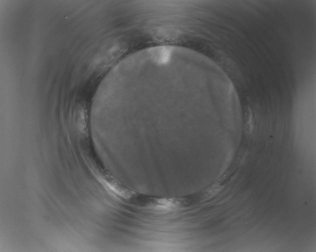 X0000076430130200611031849