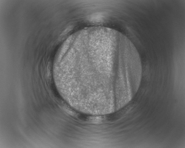 X0000076430131200611031849