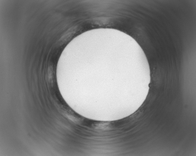 X0000076430132200611031849