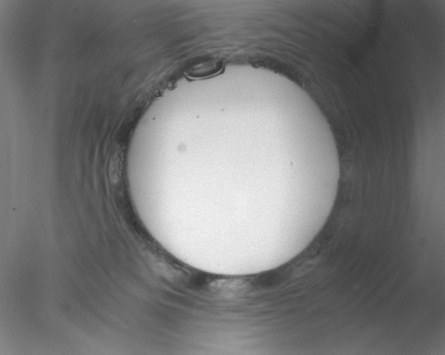 X0000076430133200611031849