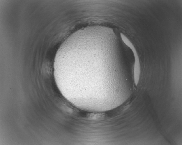 X0000076430135200611031849