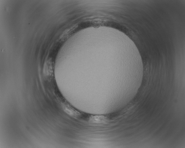 X0000076430137200611031849