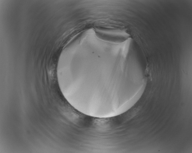 X0000076430139200611031849