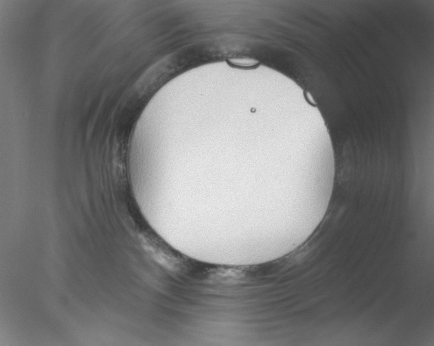 X0000076430140200611031849