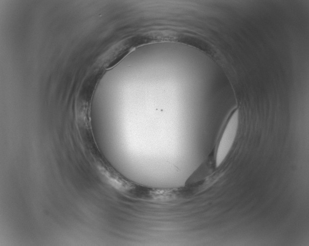 X0000076430141200611031849