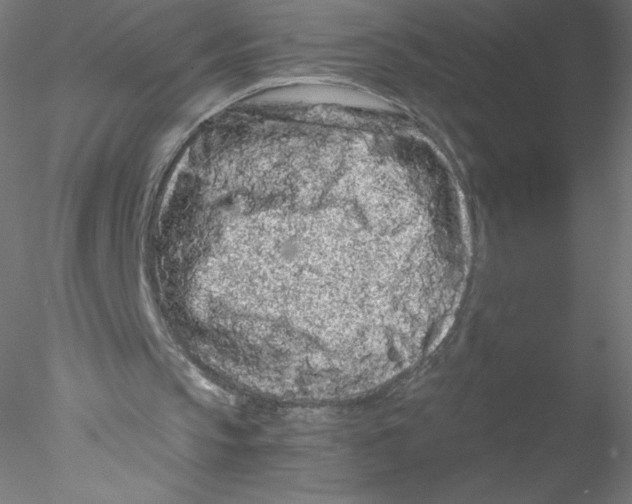 X0000076430145200611031848