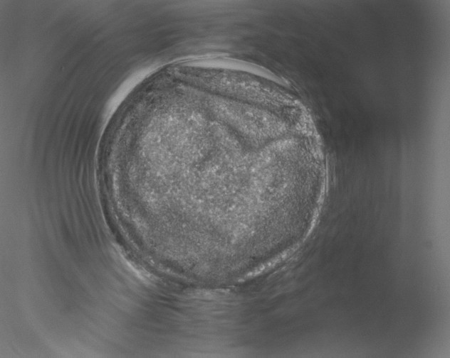 X0000076430147200611031848