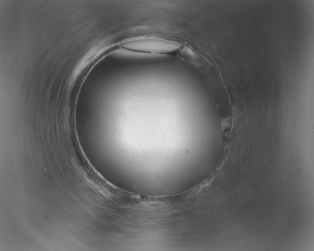 X0000076430150200611031848