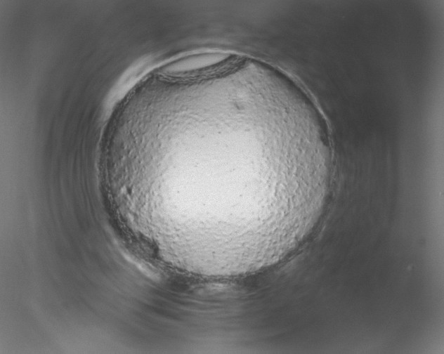 X0000076430151200611031848