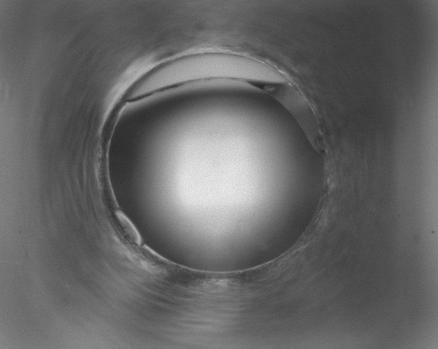 X0000076430152200611031848