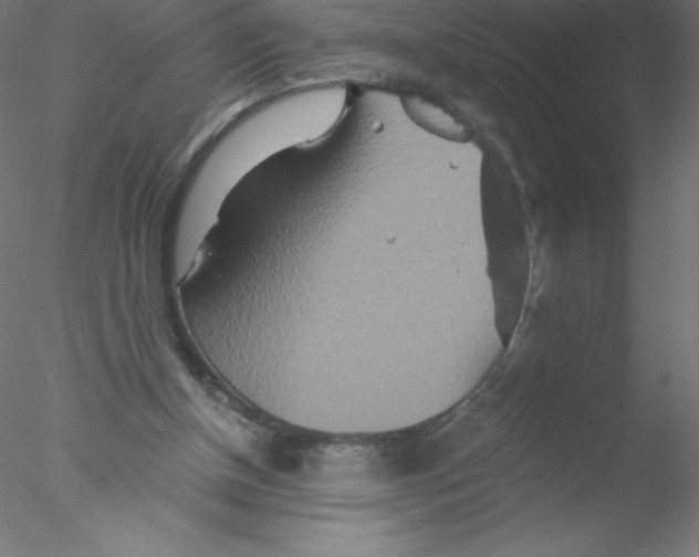 X0000076430154200611031848