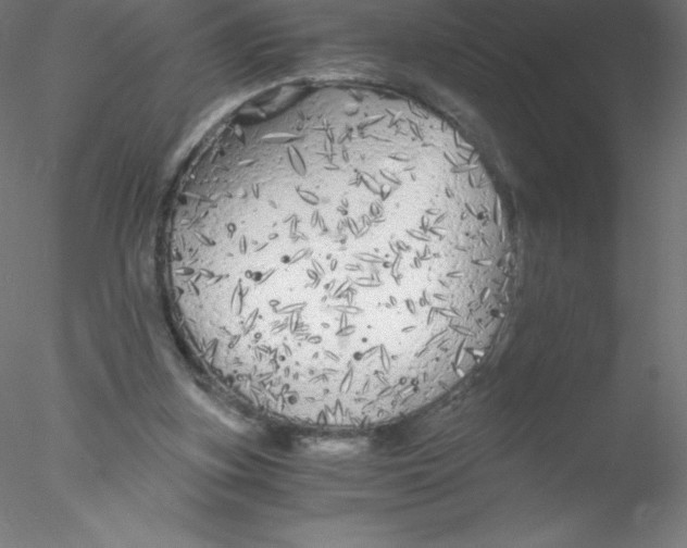 X0000076430155200611031848