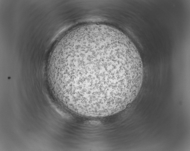 X0000076430159200611031848