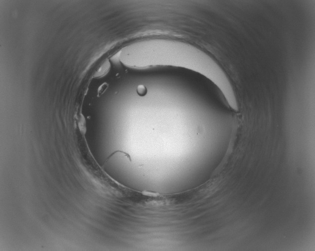 X0000076430160200611031848