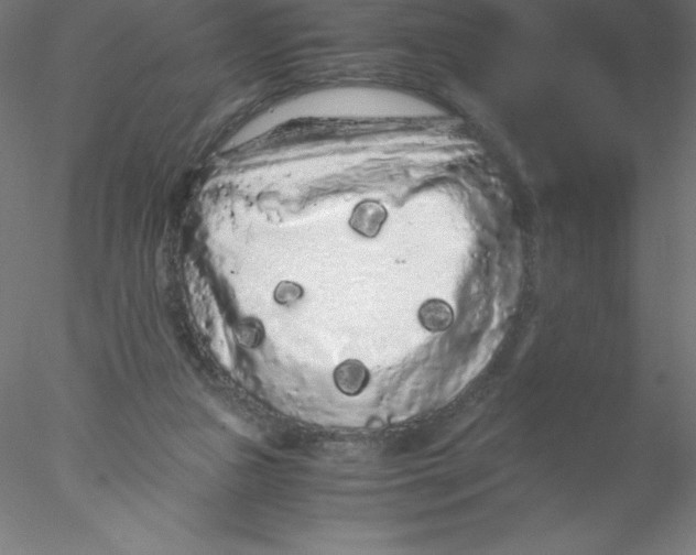 X0000076430161200611031848