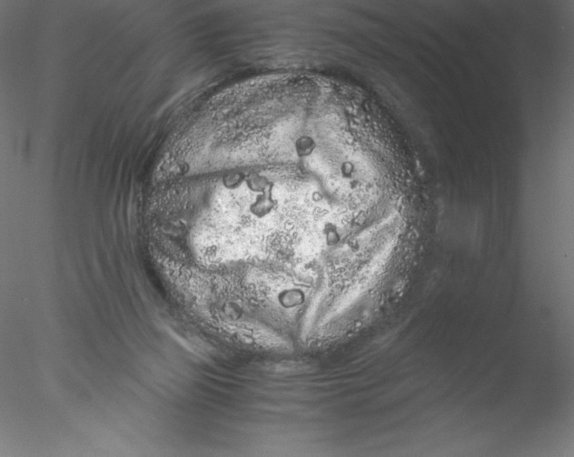 X0000076430165200611031848