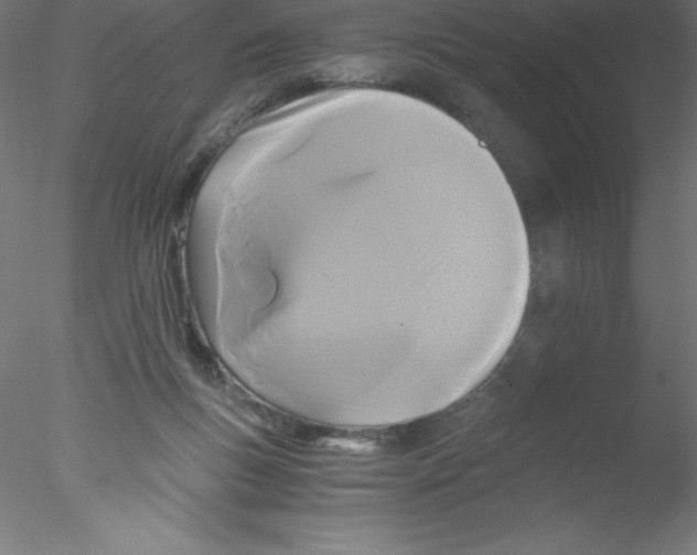 X0000076430167200611031848