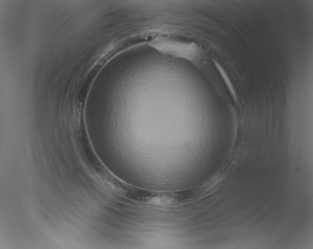 X0000076430168200611031848