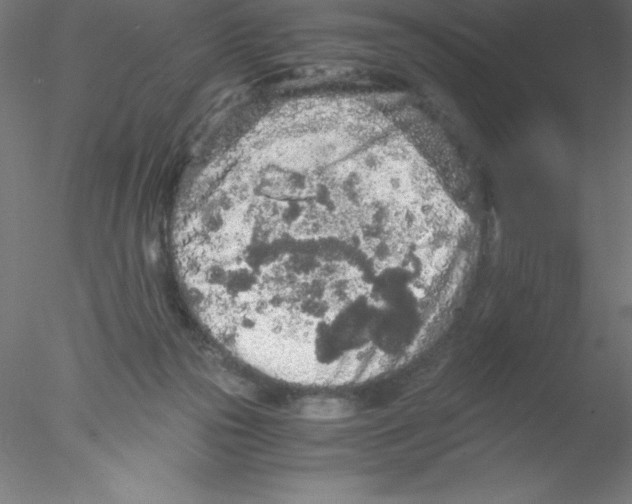 X0000076430169200611031848