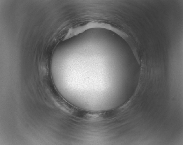 X0000076430170200611031849