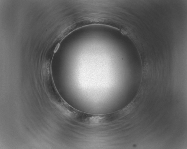 X0000076430172200611031849