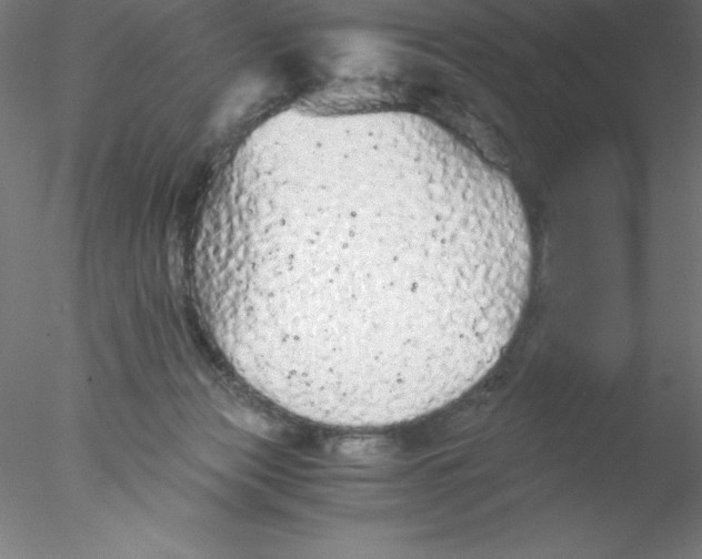 X0000076430173200611031849