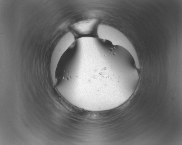 X0000076430174200611031849