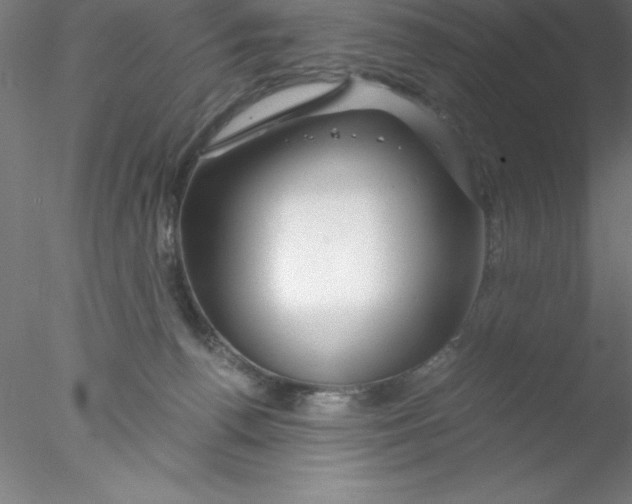 X0000076430176200611031849