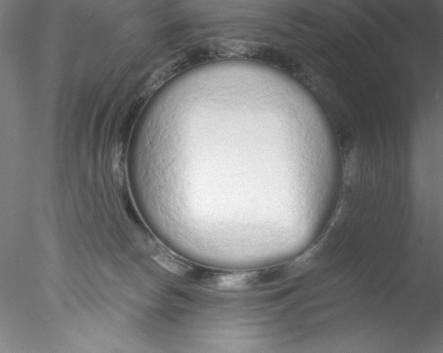 X0000076430178200611031849