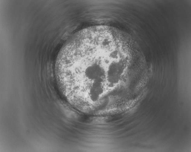 X0000076430182200611031849