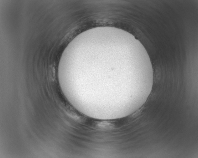 X0000076430183200611031849