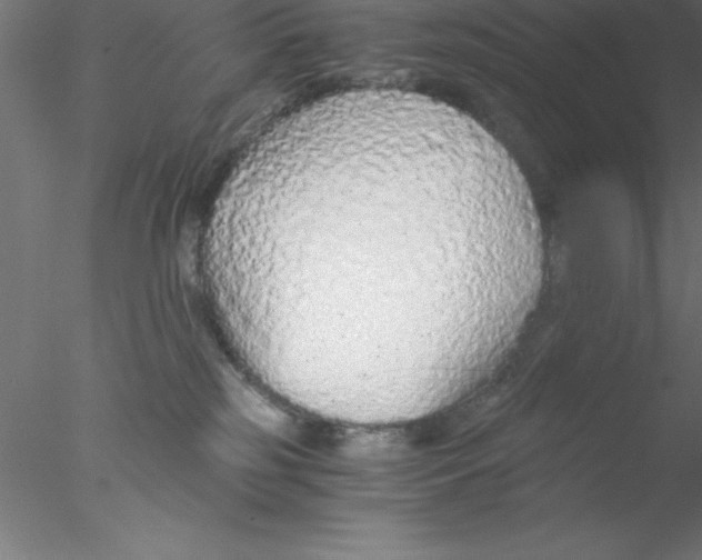 X0000076430185200611031849