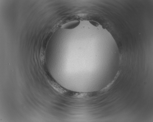 X0000076430186200611031849