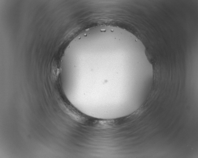 X0000076430188200611031849