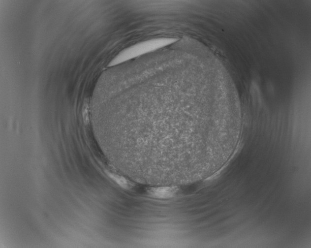 X0000076430191200611031849