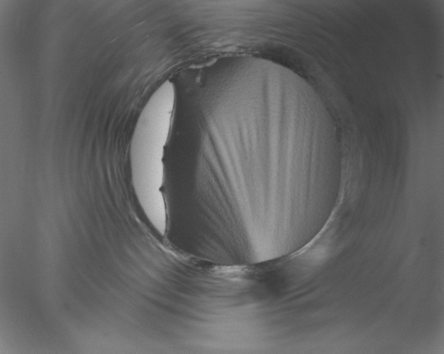 X0000076430192200611031849