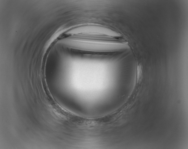 X0000076430195200611031848