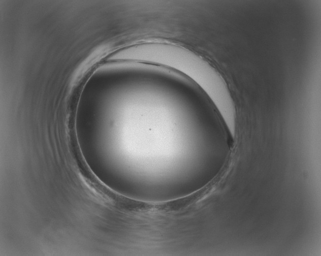 X0000076430197200611031848