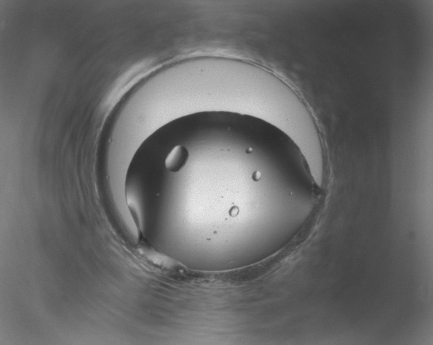 X0000076430199200611031848