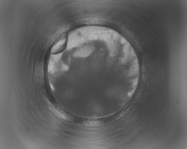 X0000076430202200611031848