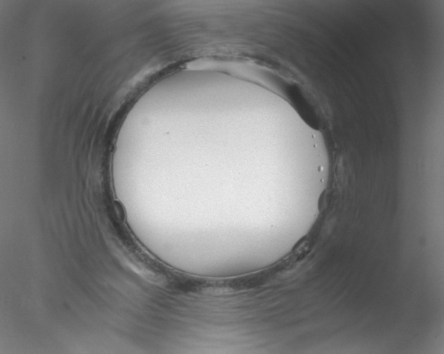 X0000076430203200611031848