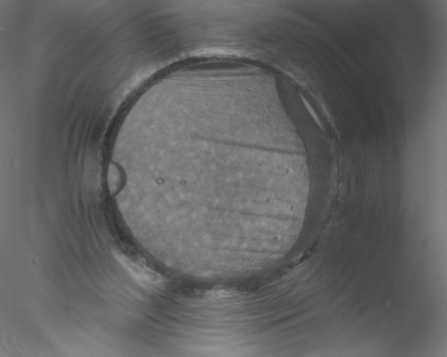 X0000076430204200611031848