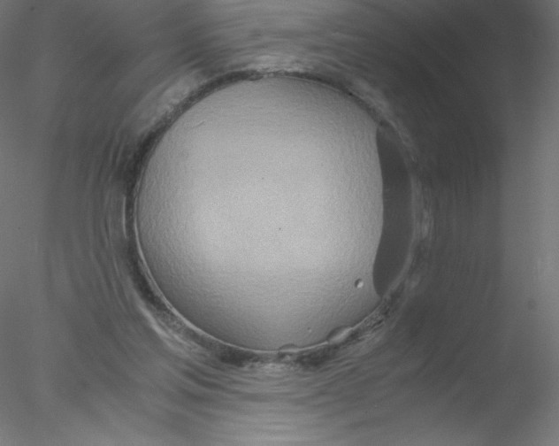 X0000076430205200611031848