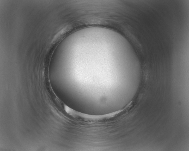 X0000076430207200611031848